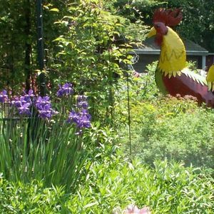 Meet your Posher, Keke